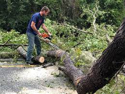 Best Seasonal Cleanup (Spring/Fall)  in Kincheloe, MI